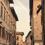 Salicotto 56 3*