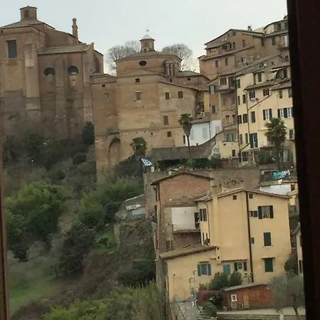 Salicotto 56
