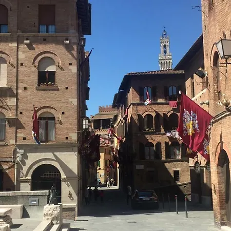 Salicotto 56 3*
