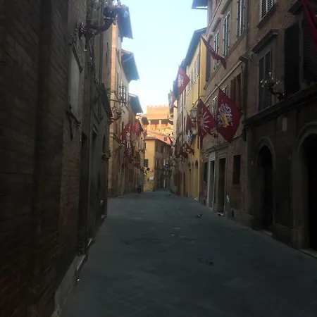 Salicotto 56 Guest house *