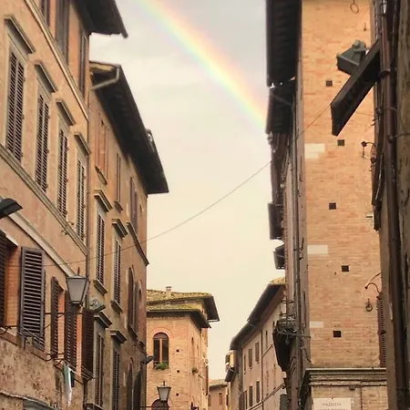 Salicotto 56 3*